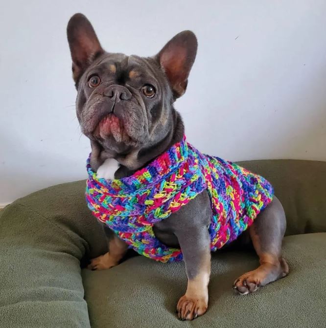 T2.JPG__PID:ce2c978b-eae1-4119-874e-8a337c29c532