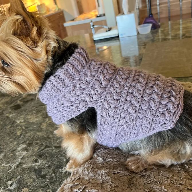 T3.JPG__PID:2c978bea-e101-4907-8e8a-337c29c532aa