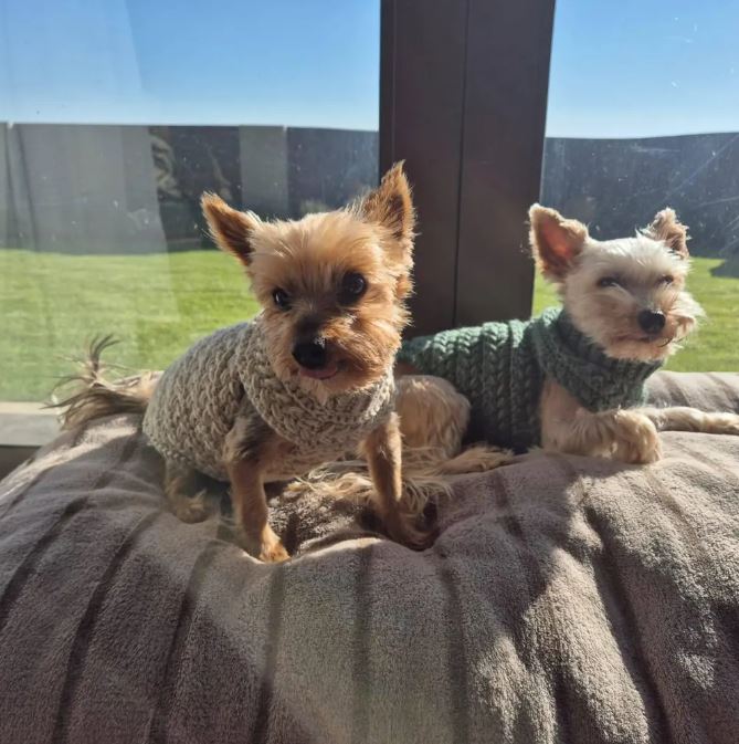 T4.JPG__PID:978beae1-0119-474e-8a33-7c29c532aade